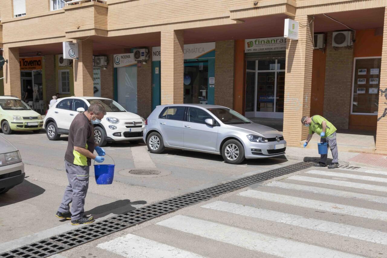  L’Ajuntament de Picassent realitza tractaments contra el mosquit tigre al municipi