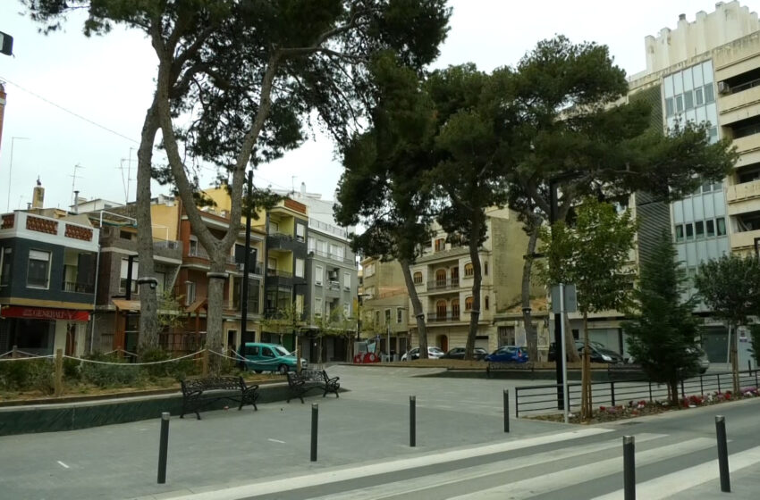 Albal avança el tractament contra la processionària amb un 90% d’èxit