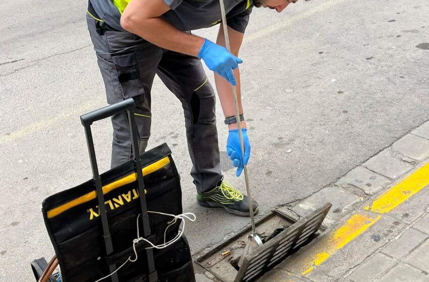 Mislata reforça el control de plagues després de la DANA