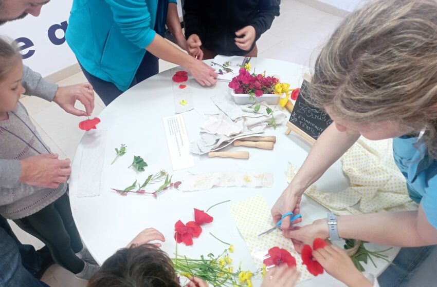  Quart de Poblet retoma les activitats en el riu Túria amb una jornada d’”experiments” de botànica
