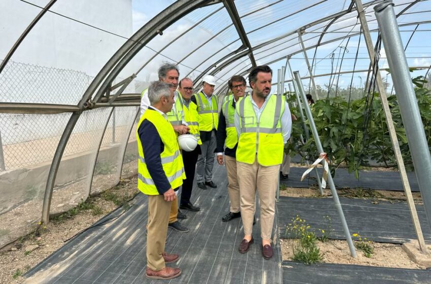 Barrachina: “Impulsar la investigació agrària és apostar per un camp més fort i competitiu”