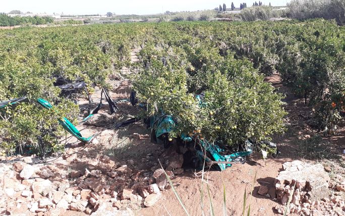  Més de 200 agricultors han sol·licitat les ajudes de la Fundació Amancio Ortega a Picassent