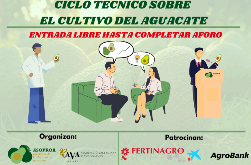 Comença a Betxí el cicle de jornades de l’aguacate impulsat per AVA-ASAJA i ASOPROA