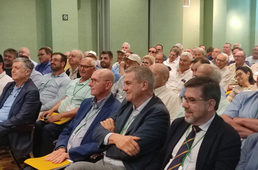  L’assemblea d’AVA-ASAJA reelegeix a Cristóbal Aguado president al capdavant d’una junta amb huit incorporacions