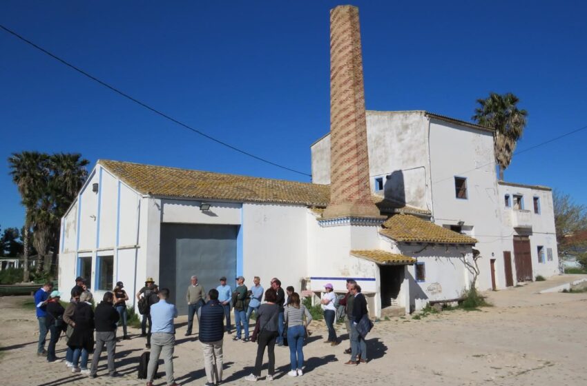 Representants de 10 països de la Unió Europea coneixeran els danys de la DANA en l’Albufera