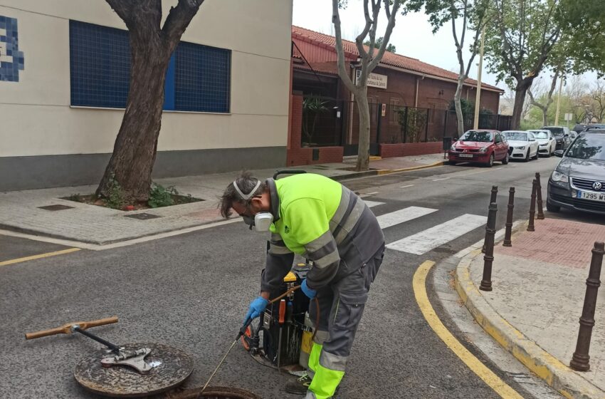 Quart de Poblet intensifica el control de plagues com a mesura preventiva davant les altes temperatures