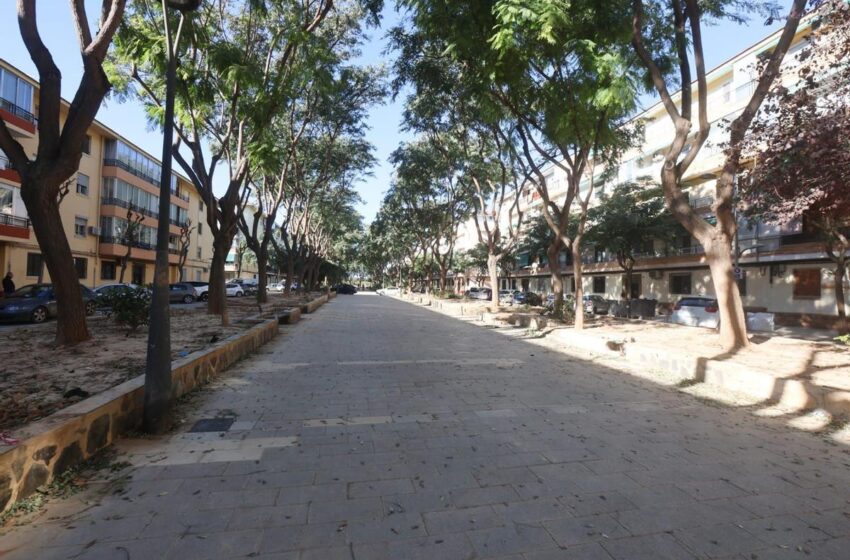 La brigada municipal d’Alfafar intensifica les seues actuacions en la via pública