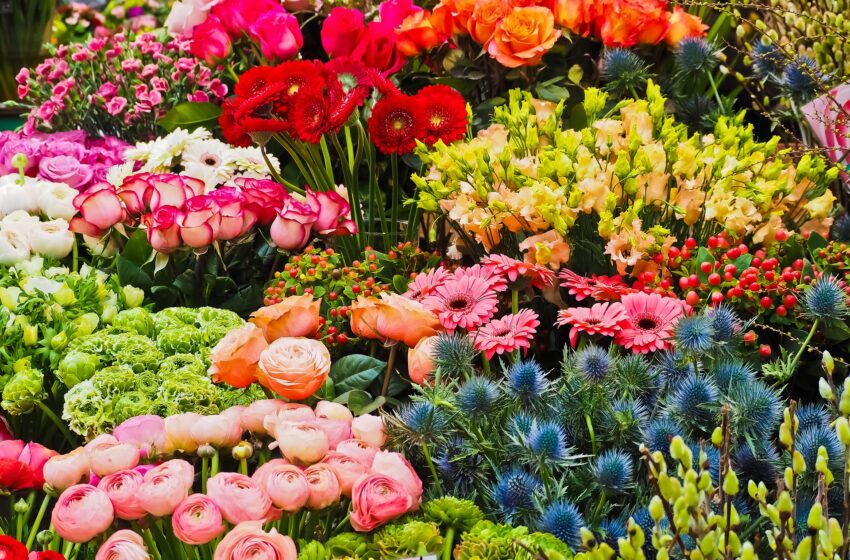  Agricultura demana al Ministeri que defense a Europa ajudes específiques per al sector de flors i plantes en la nova PAC