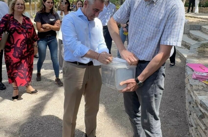 Agricultura intensifica la lluita contra el mosquit tigre amb la tècnica de l’insecte estèril, que ha aconseguit reduir la seva presència un 80 %