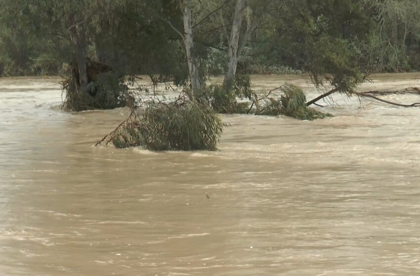  Avís groc per pluges i tempestes 