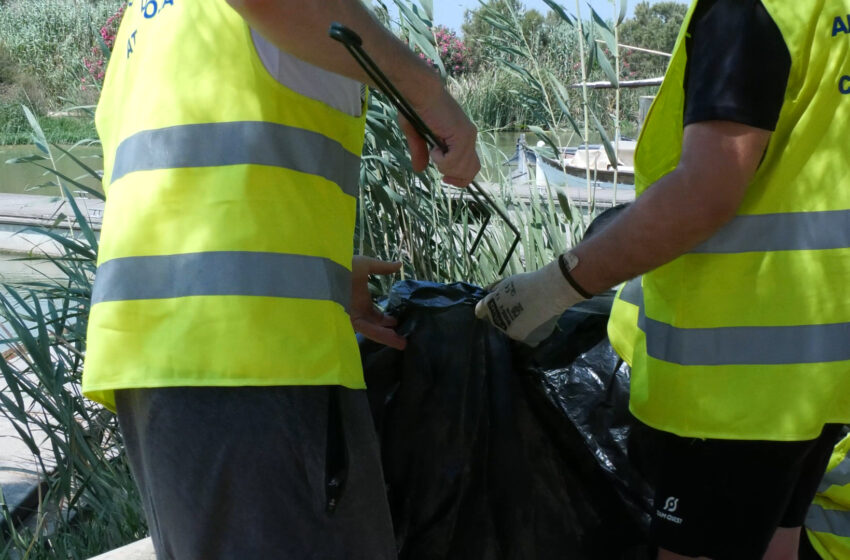Joves voluntaris de tota Espanya fan tasques de neteja i recuperació al Port de Catarroja