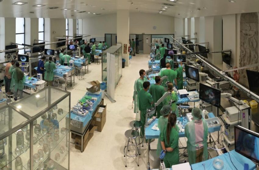  Neurocirurgia del Clínic de València organitza curs referent en formació