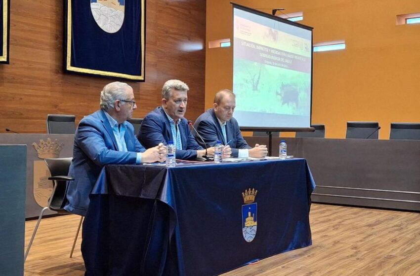 El Consell aprovarà el decret d’ungulats per ampliar els períodes de caça i simplificar la normativa contra la sobrepoblació de jabalins