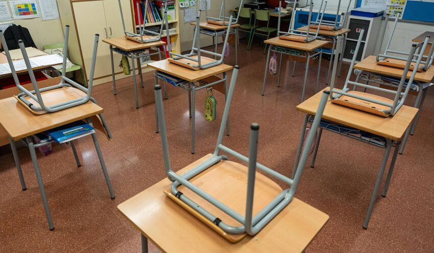 Educació adjudica 13.785 places per a docents de Primària i Secundària per al curs 2025-2026