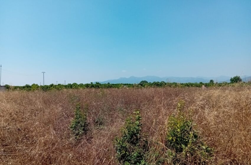  LA UNIÓ alerta sobre el risc dels camps abandonats i demana ajudes urgents per als ajuntaments