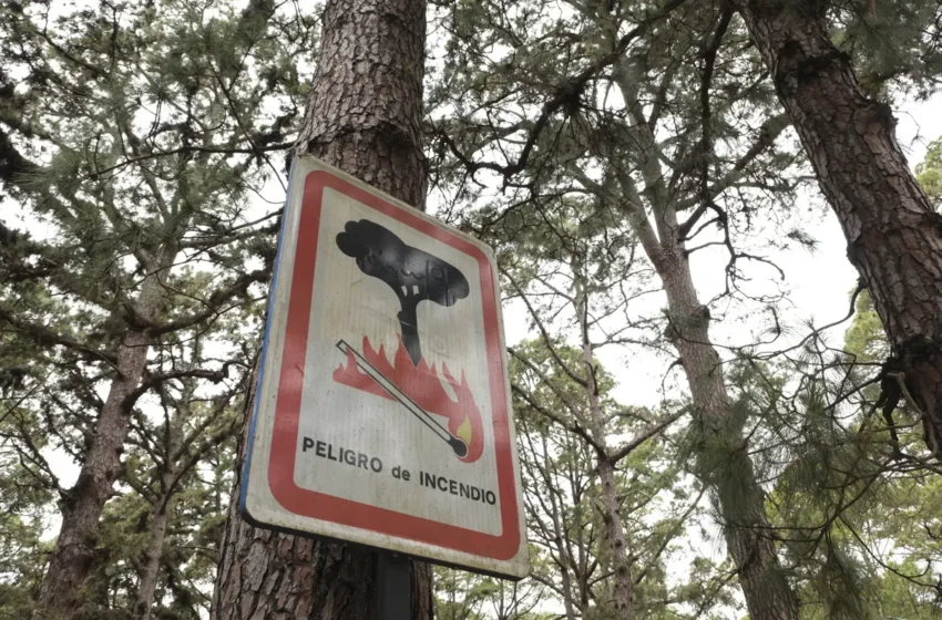  Risc Extrem d’Incendis Forestals del 18 al 20 de juliol a València, Alacant i Castelló