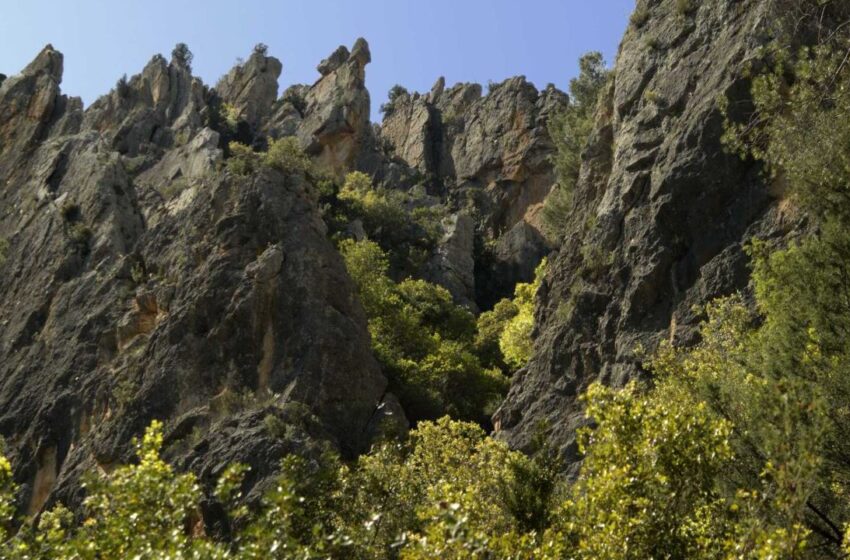 Les brigades forestals de la Generalitat treballen en la recuperació de les zones recreatives dels parcs naturals de les Hoces del Cabriel i Chera-Sot de Chera