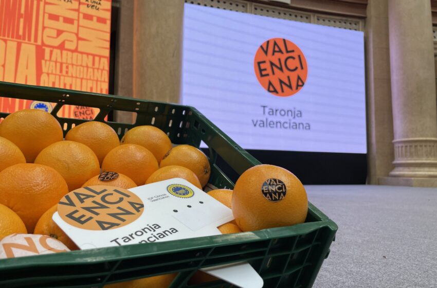 LA UNIÓ denuncia que la Generalitat manté en l’oblit la partida d’1,42 milions d’euros per a la promoció de cítrics