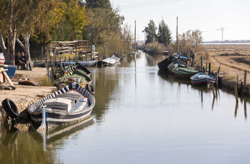 Ivace+i Energía impulsa la electrificació de vuit barques tradicionals a l’Albufera