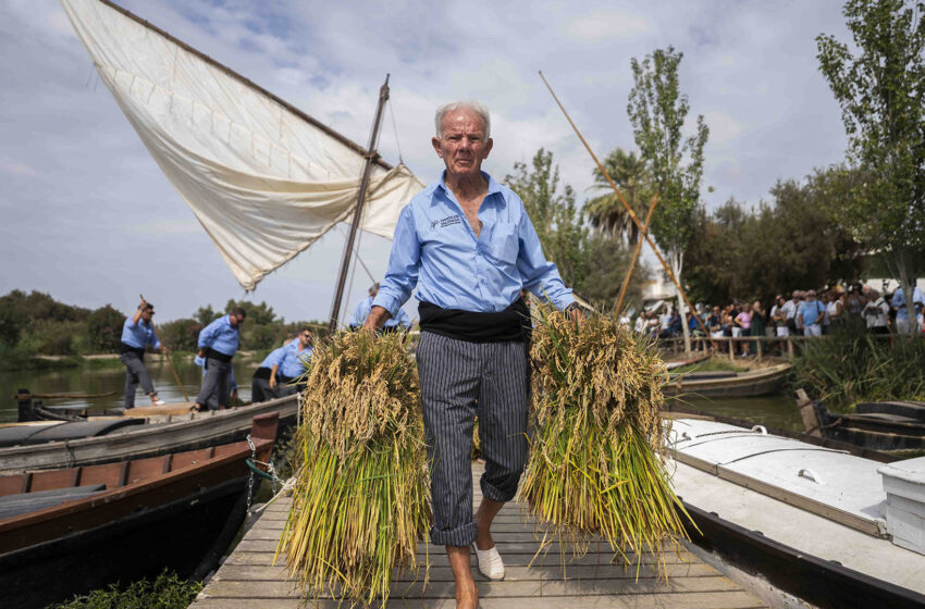 La XII Festa de la Sega ompli Catarroja de tradició i arròs