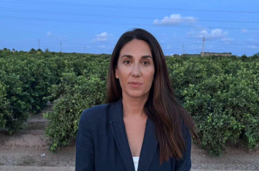  El PP de Silla proposa la instal·lació d’assortidors d’aigua per a ús agrícola exclusiu