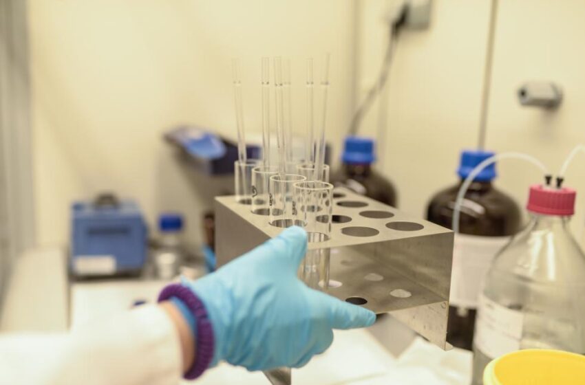 Fisabio participa en més de 20 projectes d’investigació sobre el càncer a nivell nacional i internacional