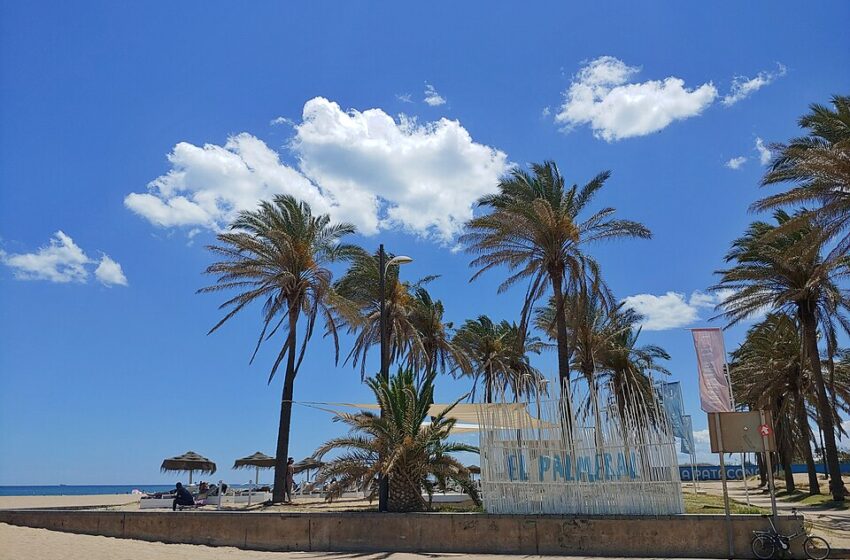  Alboraia invertirà 30.000 euros en reposar el drenatge del Palmeral Patacona Sud i del carrer Arnau de Vilanova