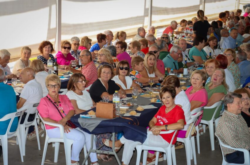 Torrent homenatja els seus majors amb una setmana plena d’activitats culturals, lúdiques i saludables