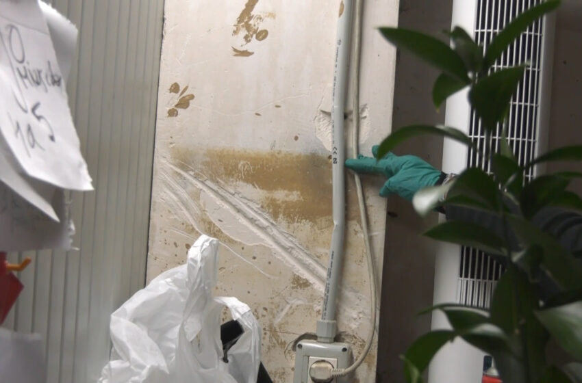  La floristeria de Pepi a Picanya torna a obrir després de la DANA