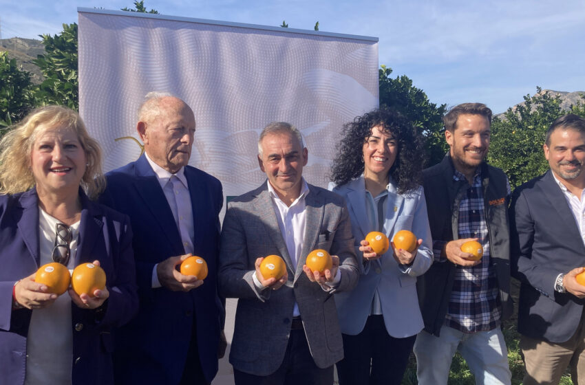  La Comunitat Valenciana dóna el tret d’eixida a la campanya citrícola amb el Primer Tall de la Taronja