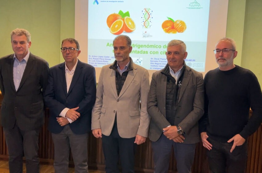  Un estudi valencià revela que augmentar el consum de cítrics modifica el genoma i pot obrir noves vies en salut
