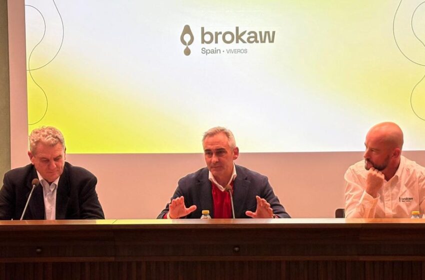  La Comunitat Valenciana, referent en producció d’aguacate