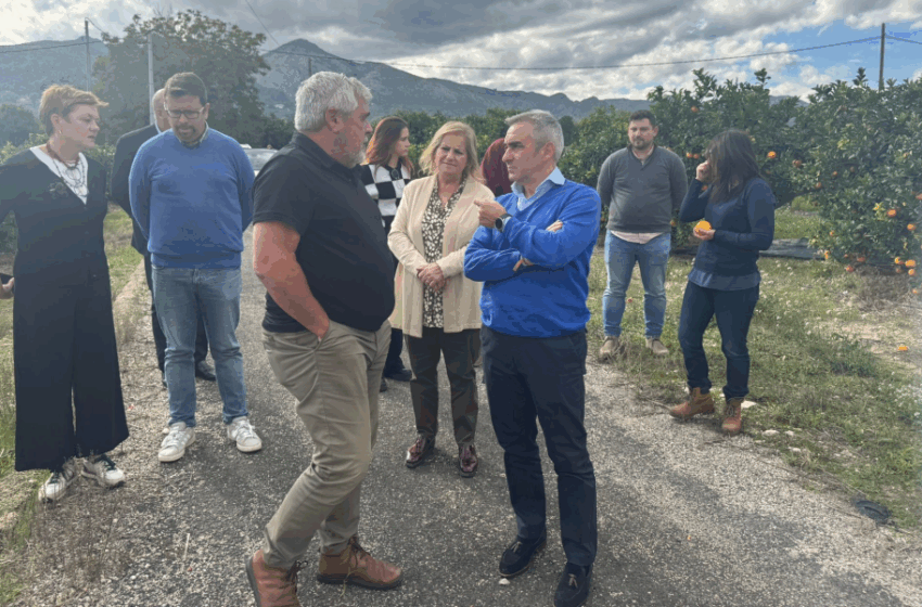  Barrachina assegura que les Iniciatives de Gestió en Comú milloren les estructures agràries i combaten l’abandonament de terres