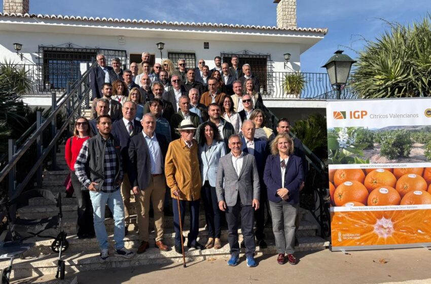  El Pla de Reconversió beneficiarà més de 36.000 explotacions i 148.000 hectàrees a la Comunitat Valenciana