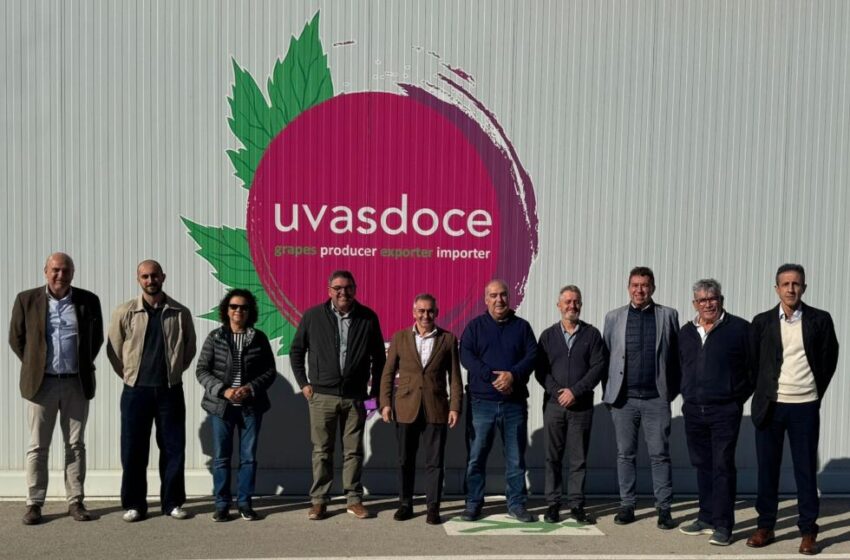 128 sol·licituds d’ajudes de joves i nous agricultors a la província d’Alacant