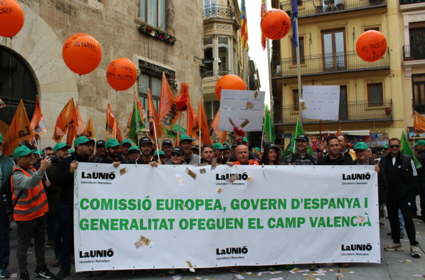  Més de 500 llauradors, ramaders i 30 tractors es manifesten a València contra les polítiques agràries de les Administracions