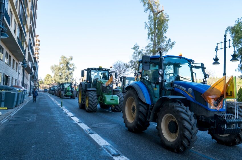  LA UNIÓ aconsegueix ajornar la signatura de l’Acord UE-Mercosur i incloure els cítrics com a producte sensible