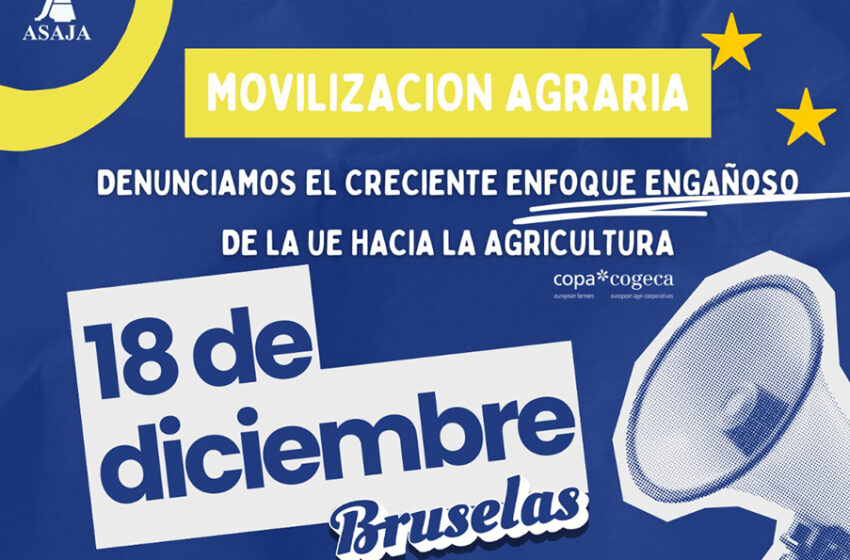  AVA-ASAJA participa en la gran protesta del sector agrari europeu a Brussel·les