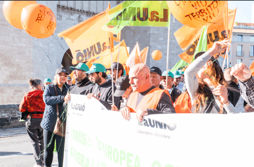  LA UNIÓ demana enviar l’acord UE–Mercosur al TJUE per protegir l’agricultura valenciana