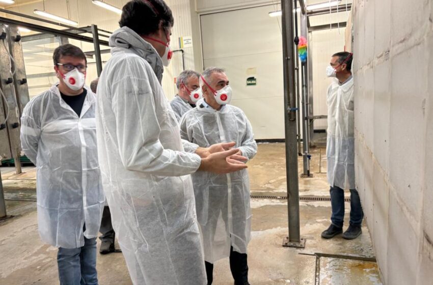  La Generalitat destina més de 39 milions d’euros a sanitat vegetal per protegir l’agricultura valenciana