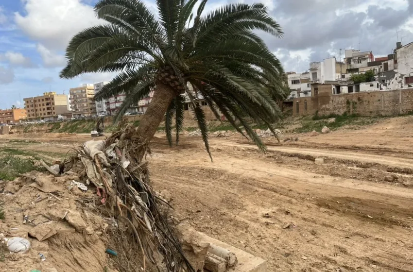  La reconstrucció després de la DANA a Paiporta entra en una segona fase amb trobades veïnals al febrer
