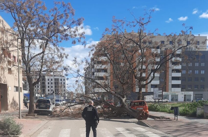  La borrasca Leonardo sacseja Albal amb ratxes de fins a 116 km/h