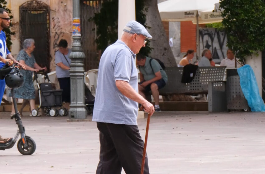  La Gent Major d’Alzira impulsa la nova Targeta del Major