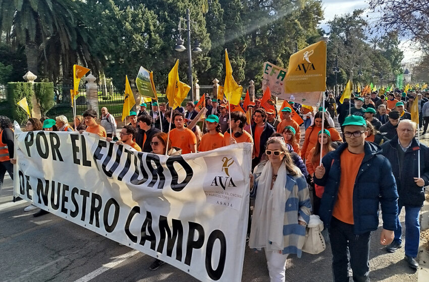 AVA-ASAJA exigeix a la Comissió i al Govern espanyol que rectifiquen “l’error” del Mercosur