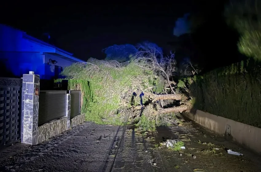  Ràfegues de fins a 95,4 km/h s’emporten el sostre de la piscina de Xirivella i provoquen caigudes d’arbres a Torrent i Benetússer