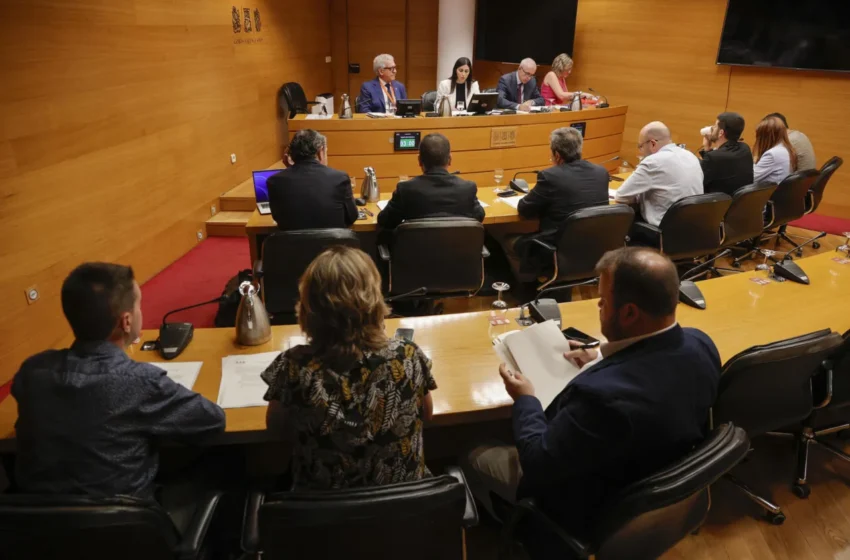  La comissió de la DANA de Les Corts citarà les associacions de víctimes els dies 23 i 24 de febrer